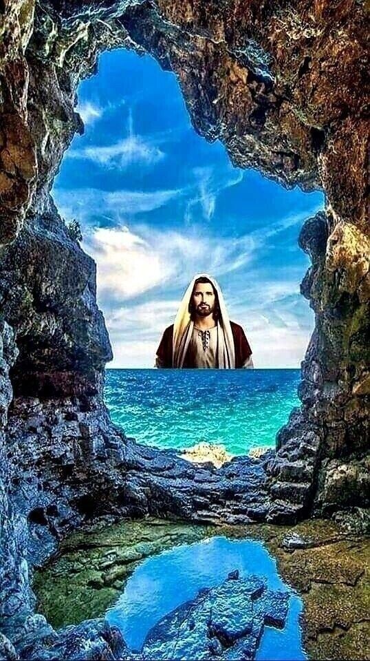 ���� 38279121 ������� ������, 36 ���, ���� ���������� � ����