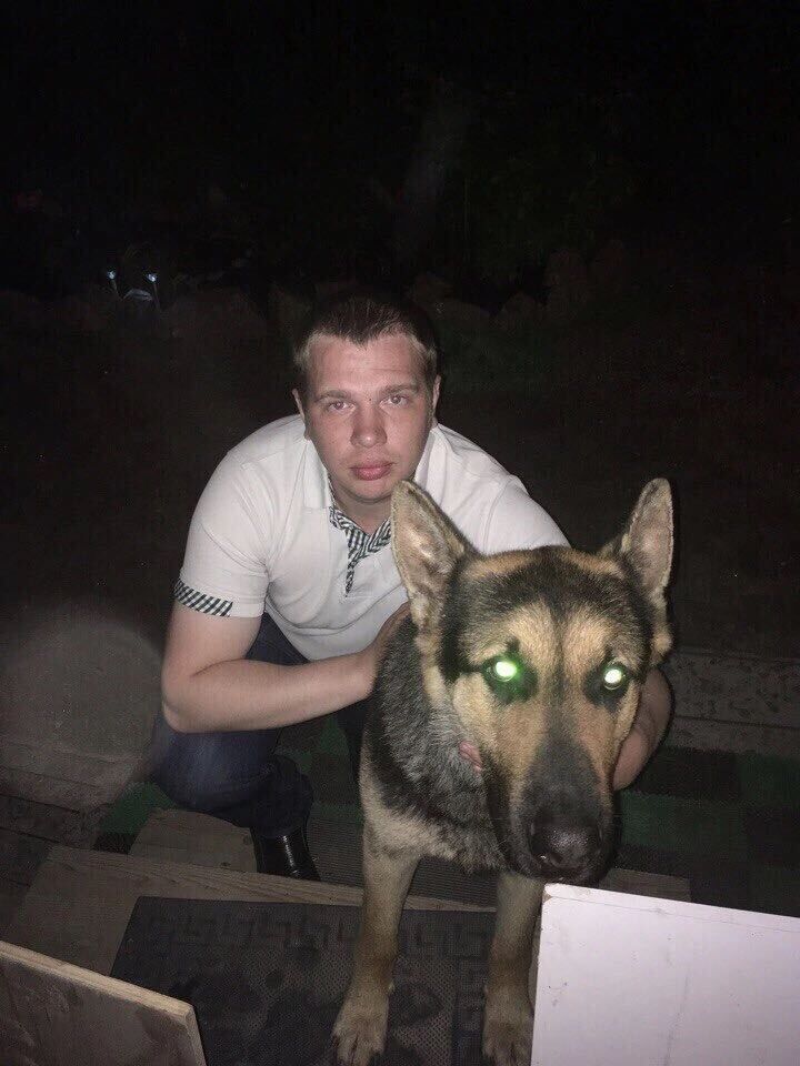  50019211  , 33 ,    -