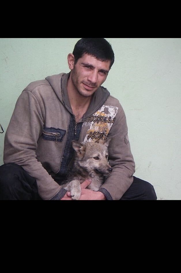 ���� 38906011 ������� ����, 44 ����, ���� ���������� � ������