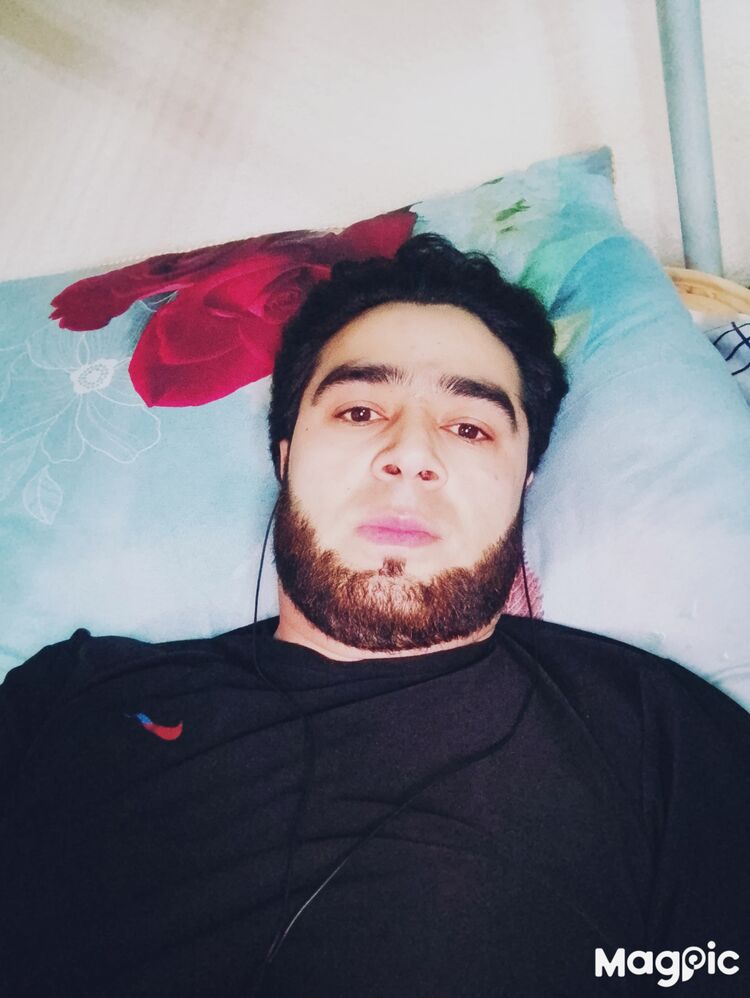  33320421  , 40 ,    