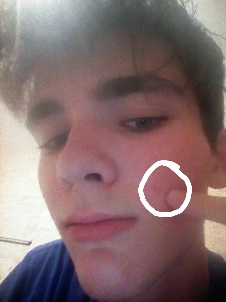 ���� 25239431 ����� ����, 22 ����, ���� ���������� � ������