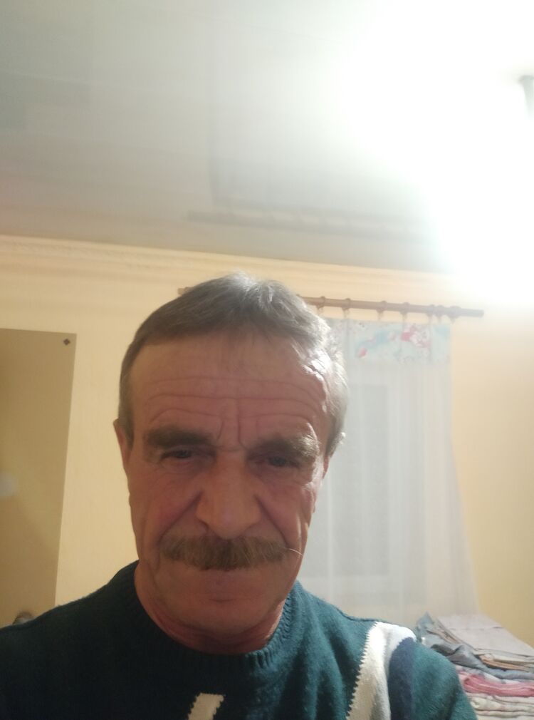 33366411  , 66 ,    