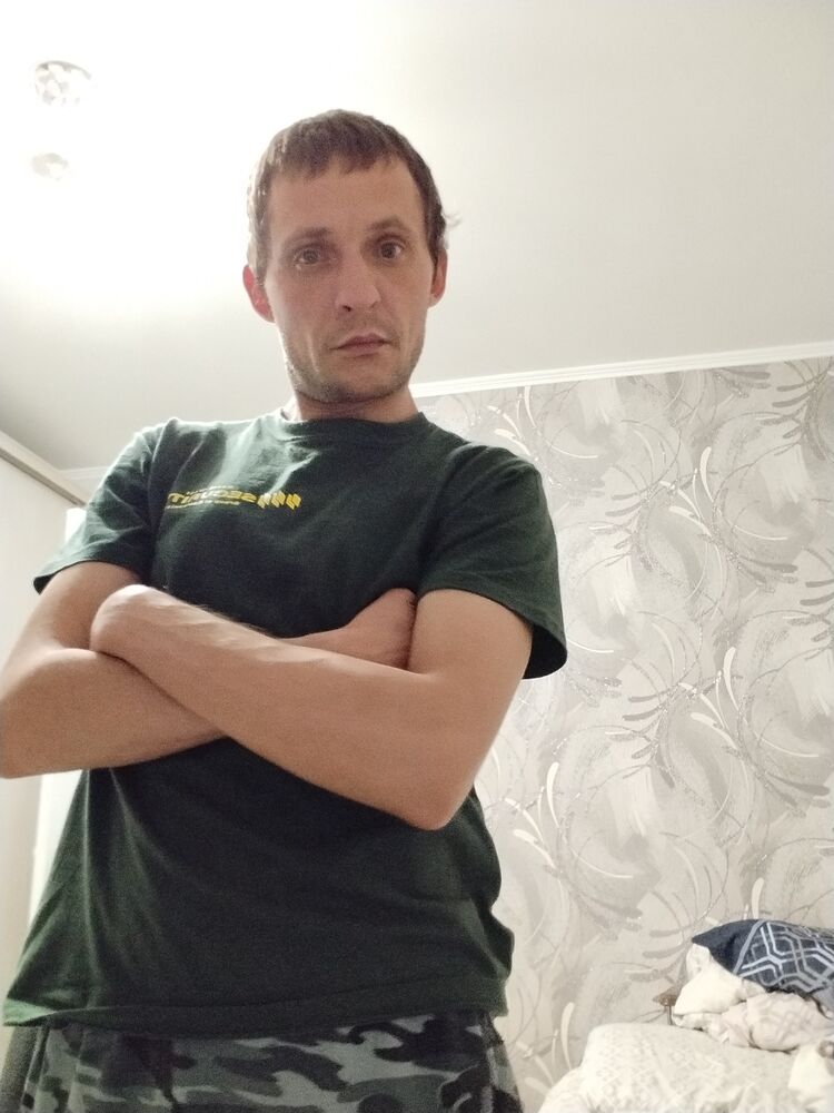  31539101  , 38 ,    -