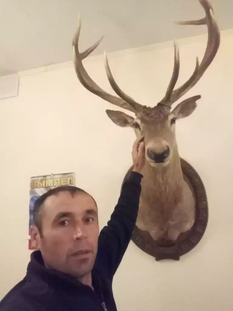 ���� 34179541 ������� ������, 45 ���, ���� ���������� � �����