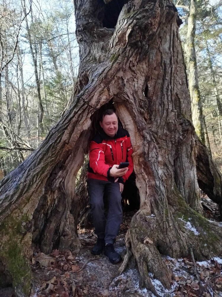 ���� 55076561 ������� ���������, 44 ����, ���� ���������� � ������������