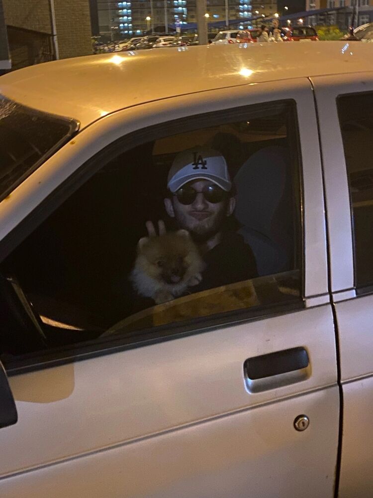 ���� 43669201 ����� �����, 21 ���, ���� ���������� � ������