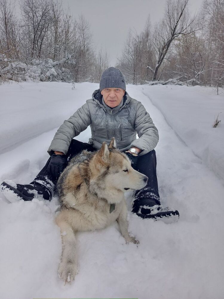 ���� 55911091 ������� �����, 57 ���, ���� ���������� � ������������