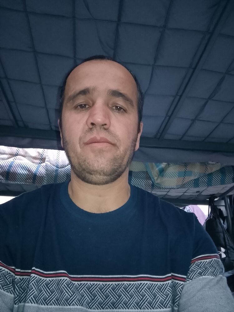 ���� 43576941 ������� ������, 38 ���, ���� ���������� � ������