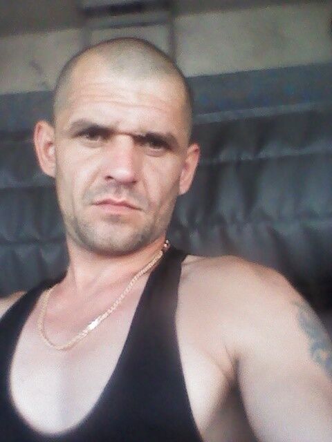  9666181  , 41 ,    