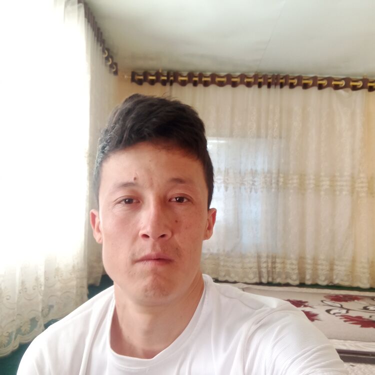  36359541  , 31 ,    