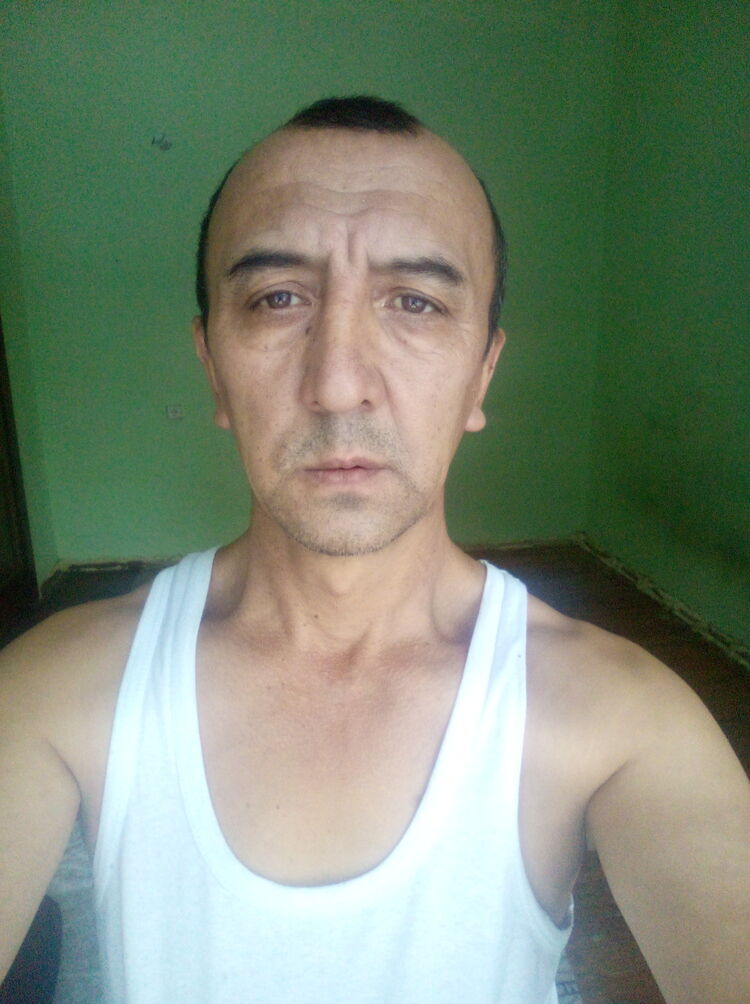  31258591  , 51 ,    