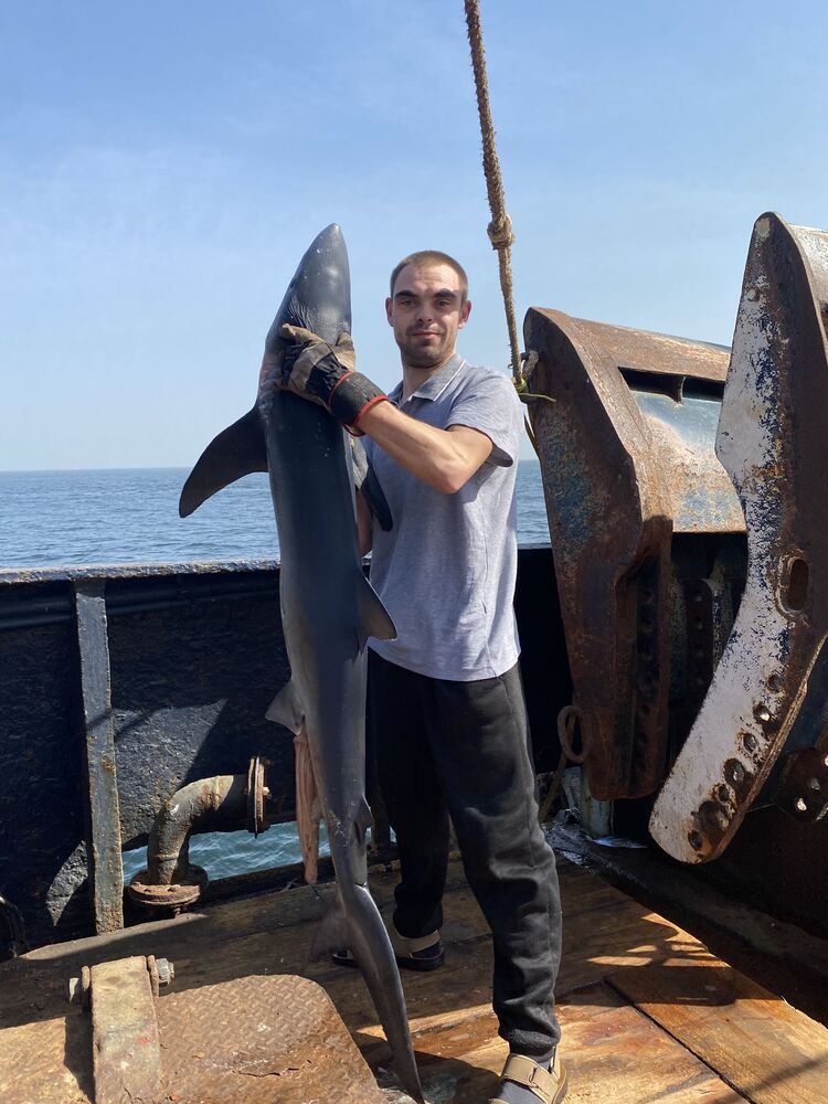 ���������� �����������, ���� ������� �����, 34 ����, ������������ ��� ����� � ���������, c�������� ���������, ���������