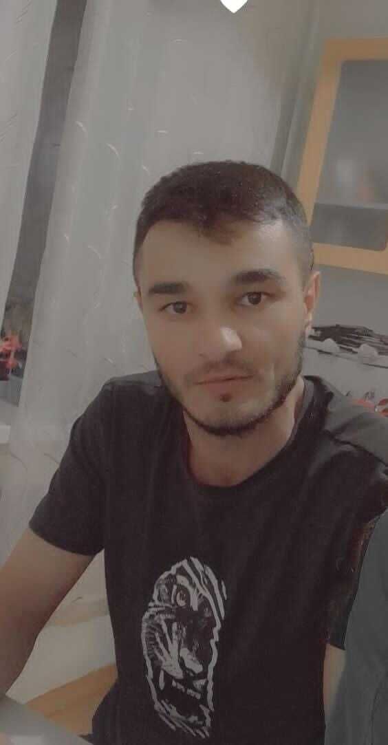  46234541  , 31 ,    