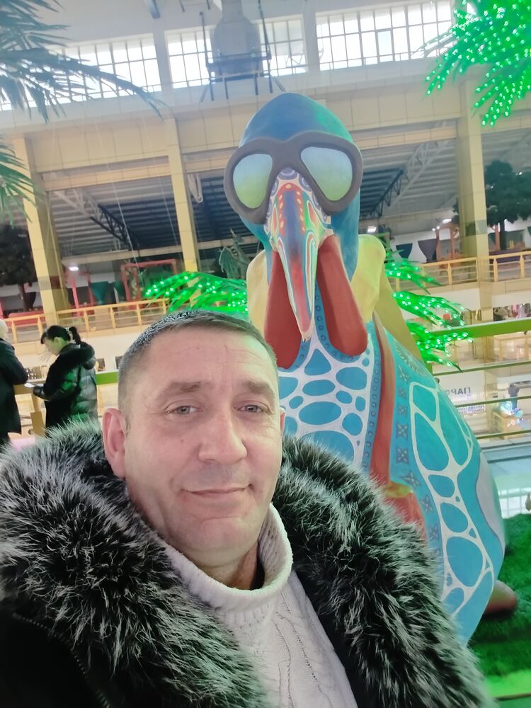 ���������� �������, ���� ������� ���������, 46 ���, ������������ ��� ����� � ���������, c�������� ���������, ���������