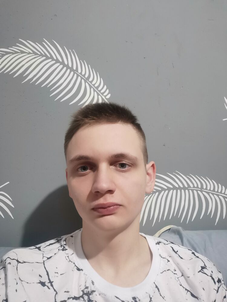  33288391  , 23 ,    