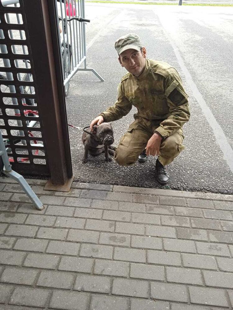  54013721  , 38 ,    -