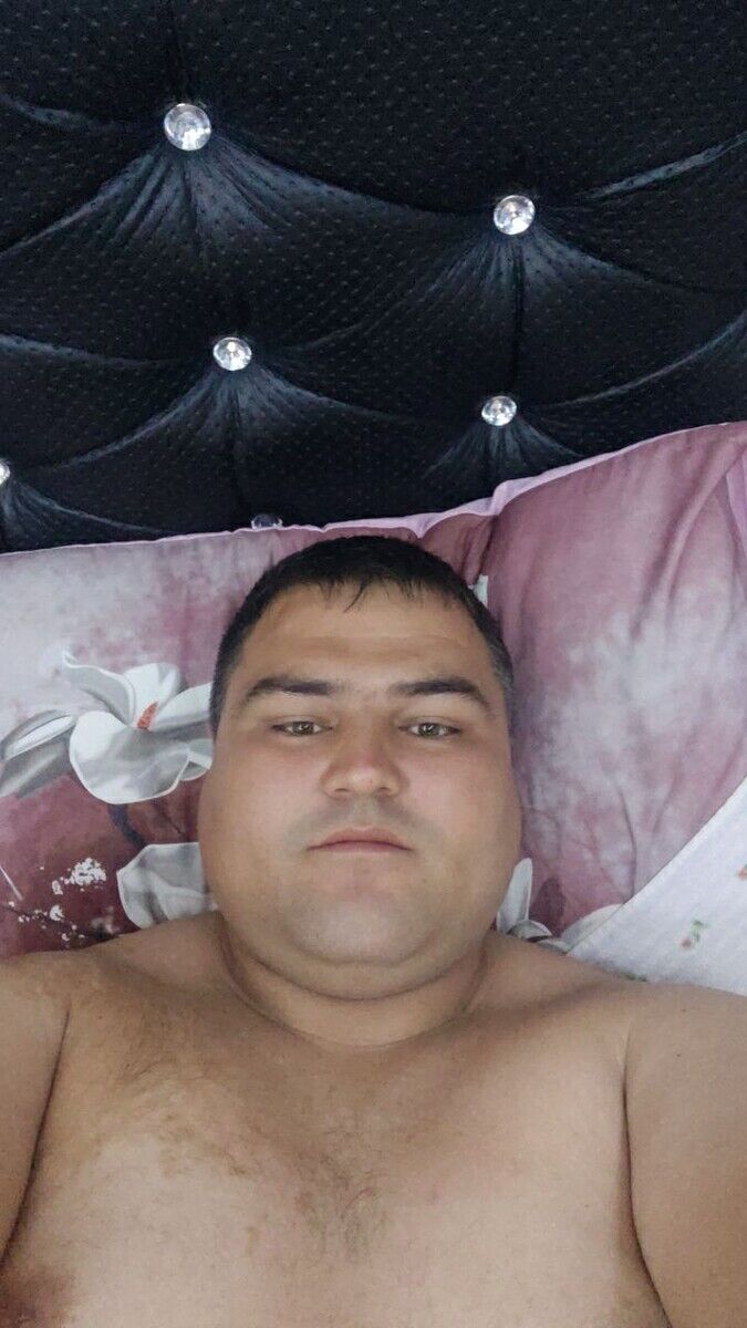  21175821  , 38 ,    