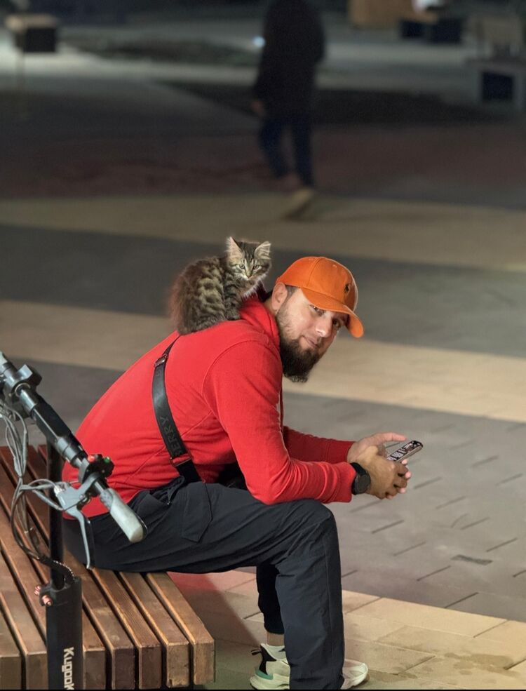  ,   , 34 ,   ,   