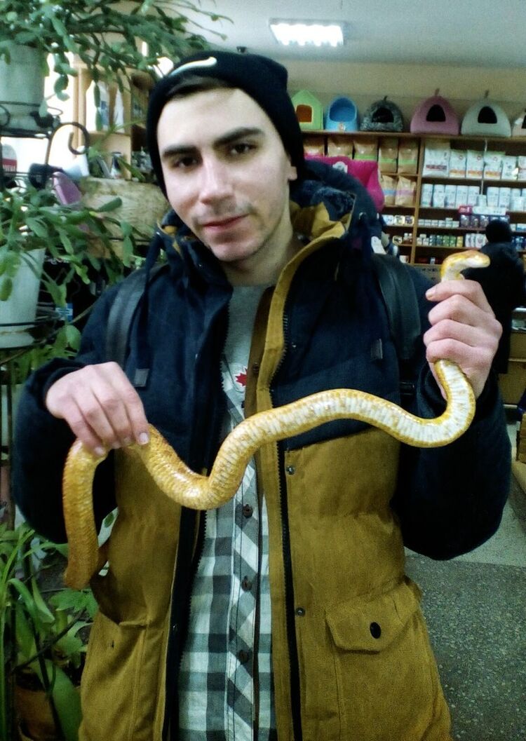 ���� 8847681 ������� ������, 31 ���, ���� ���������� � �����������