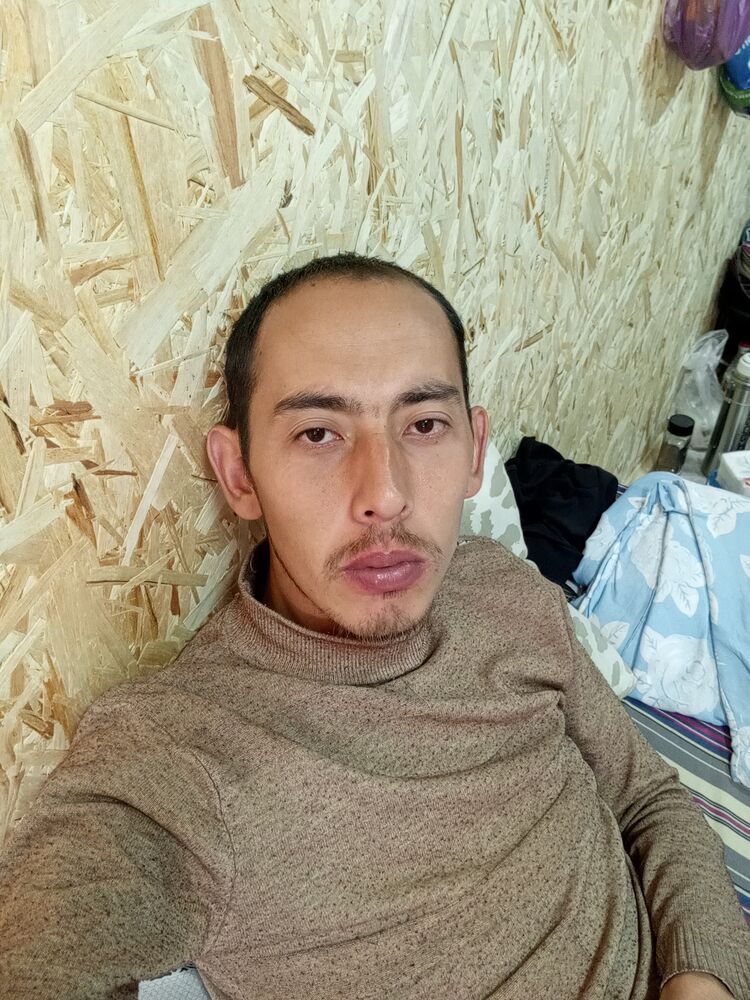 ���� 53019501 ������� �����, 29 ���, ���� ���������� � �����