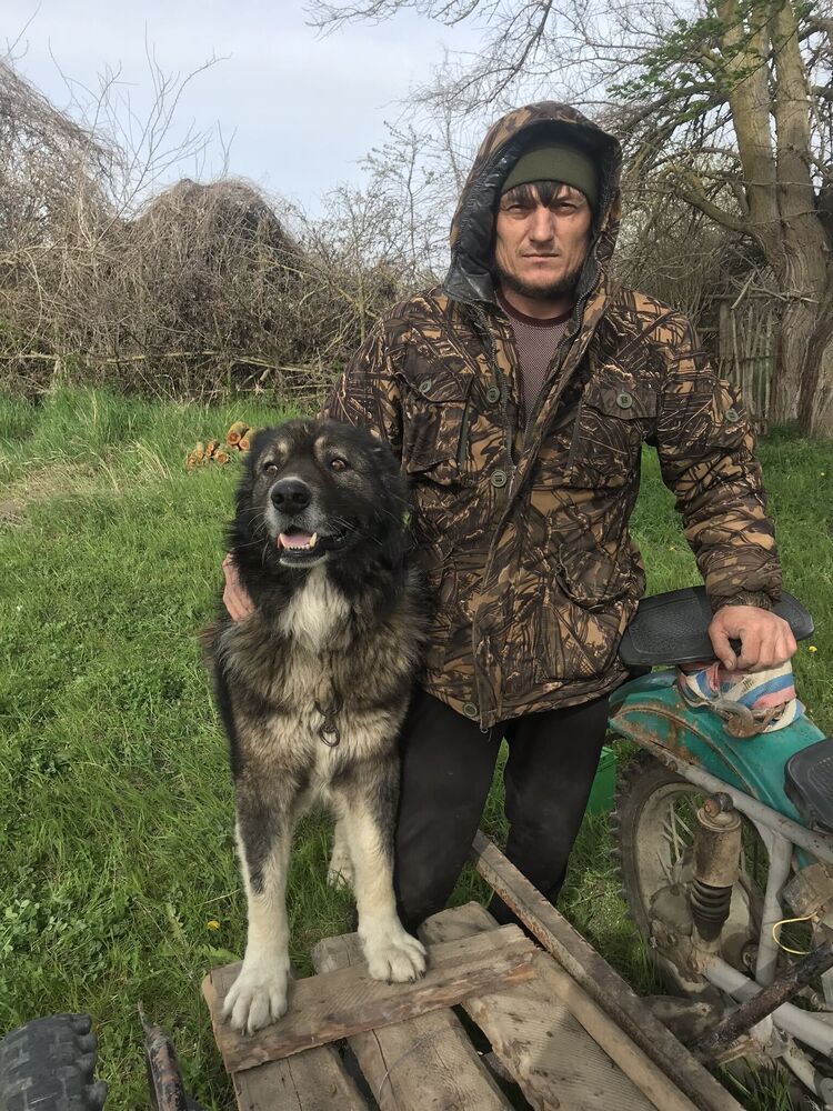  ,   , 41 ,   ,   
