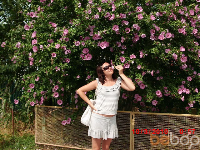 ���������� �����, ���� ������� �������, 42 ����, ������������ 