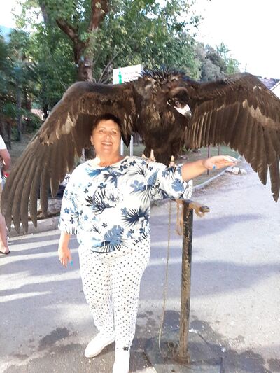  ,   , 65 ,   ,   , c 