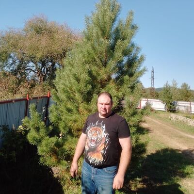  ,   , 41 ,   c 
