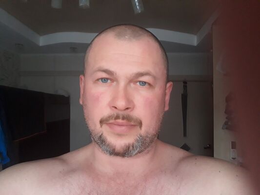  --,   , 41 ,   