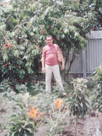  ,   , 54 ,   ,   , c , 