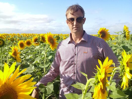  ,   , 38 ,   ,   , c , 