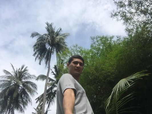  ,   , 31 ,     , c 
