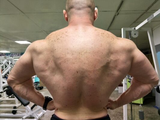  ,   Tibald, 42 ,   