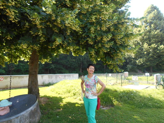  ,   , 55 ,  