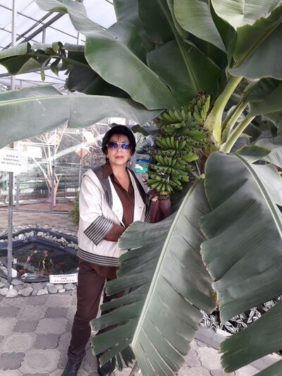  ,   , 63 ,   ,   , c 