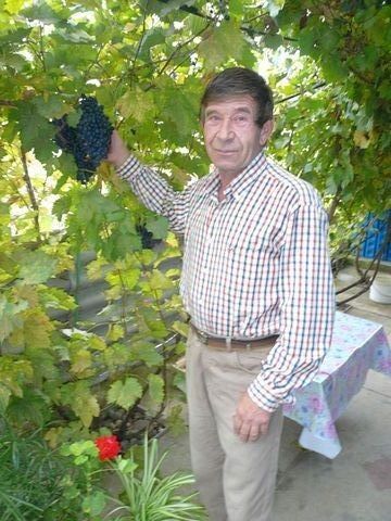  6629411  Leonid142, 70 ,    