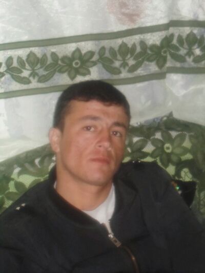  ,   Zloetigr, 35 ,   ,   , c 
