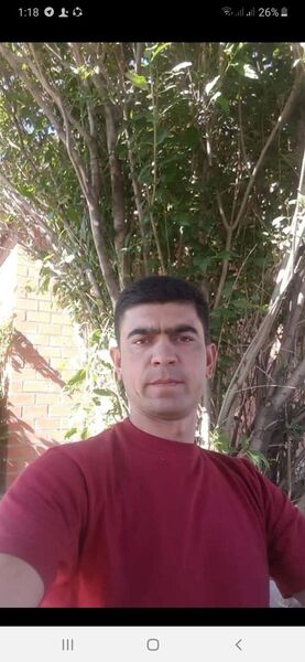  -,   , 38 ,     , c , 