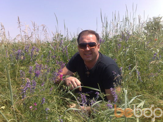  ,   , 53 ,   