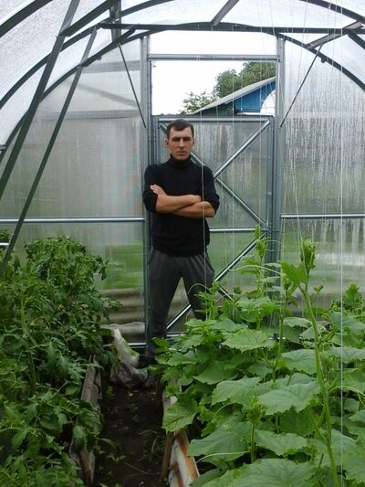  ,   , 41 ,   ,   , c 