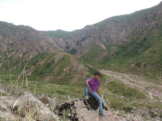  ,   Lovelas, 31 ,   