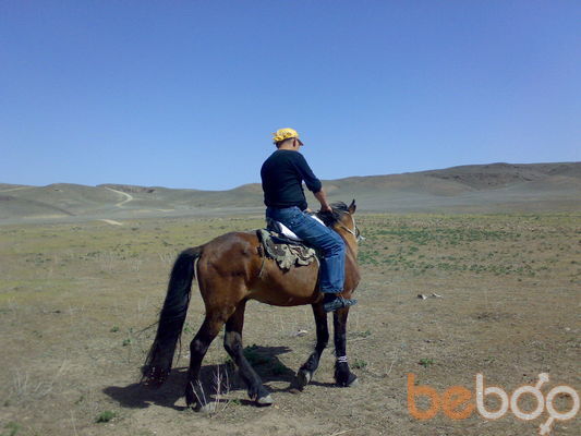  ,   Han, 44 ,   