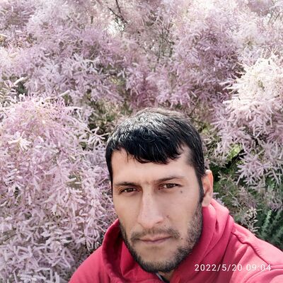  ,   , 38 ,   ,   , c , 