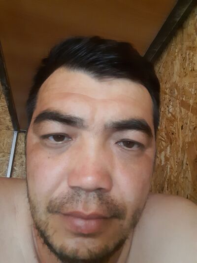  ,   , 31 ,     , c 