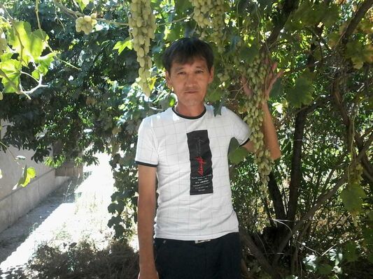  ,   , 63 ,   ,   , c 