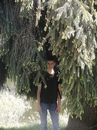  ,   , 21 ,     , c 