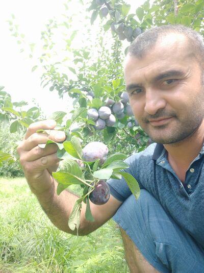  ,   Ali, 40 ,   ,   , c 