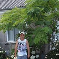  ,   , 60 ,   