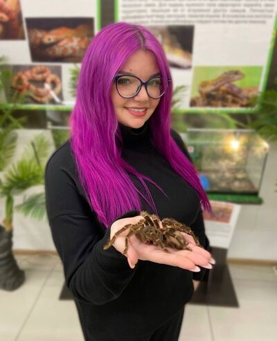  ,   , 28 ,   c 