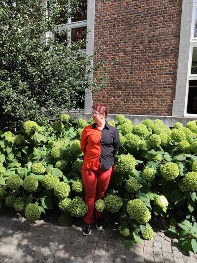  Sint-Truiden,   , 27 ,   c , 